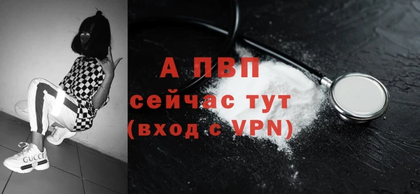 спиды Новозыбков