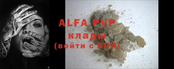 спиды Новозыбков