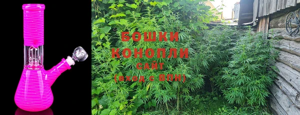 спиды Новозыбков