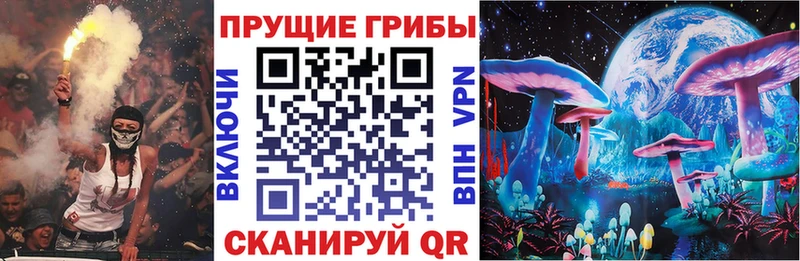 Купить где  Семикаракорск  Галлюциногенные грибы мицелий 